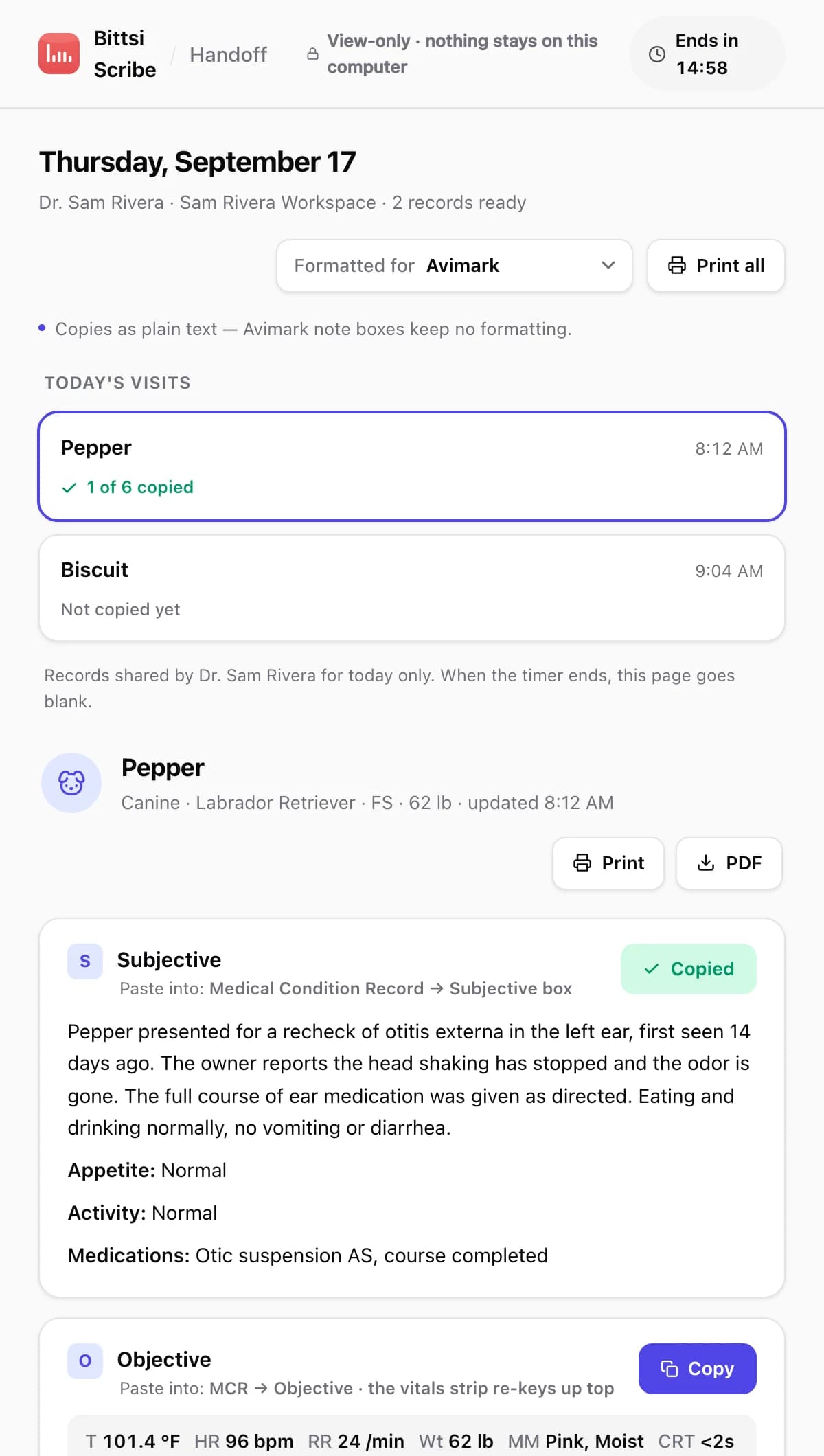 The Bittsi Scribe handoff page: formatted for Avimark, today's visits, and a Subjective card with a Copied button and the line Paste into Medical Condition Record, Subjective box