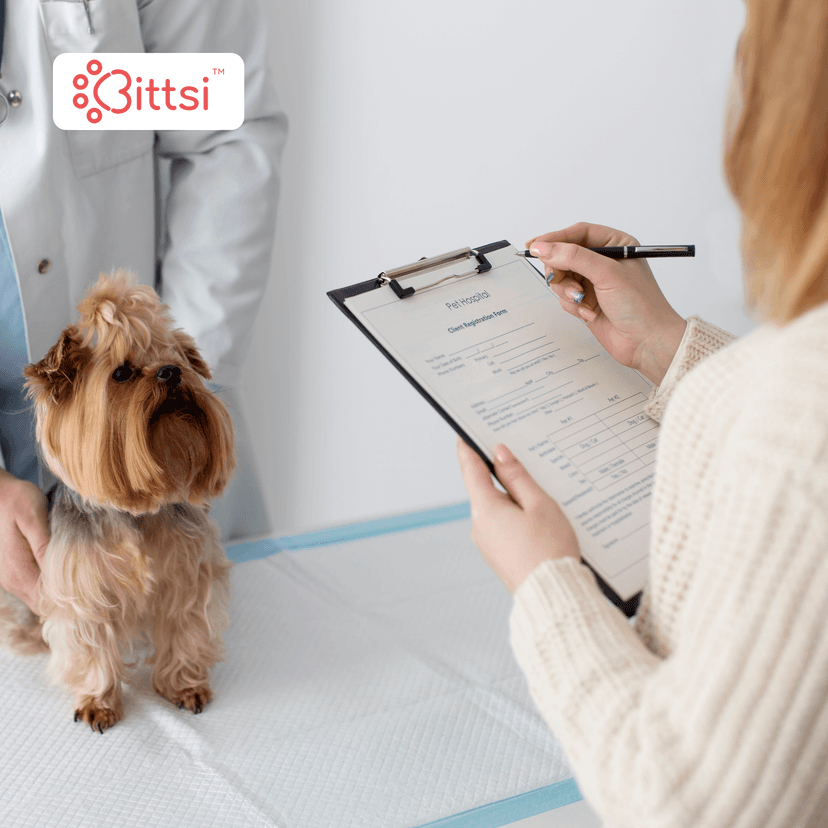 How a Veterinary AI Scribe Reduces Documentation Time