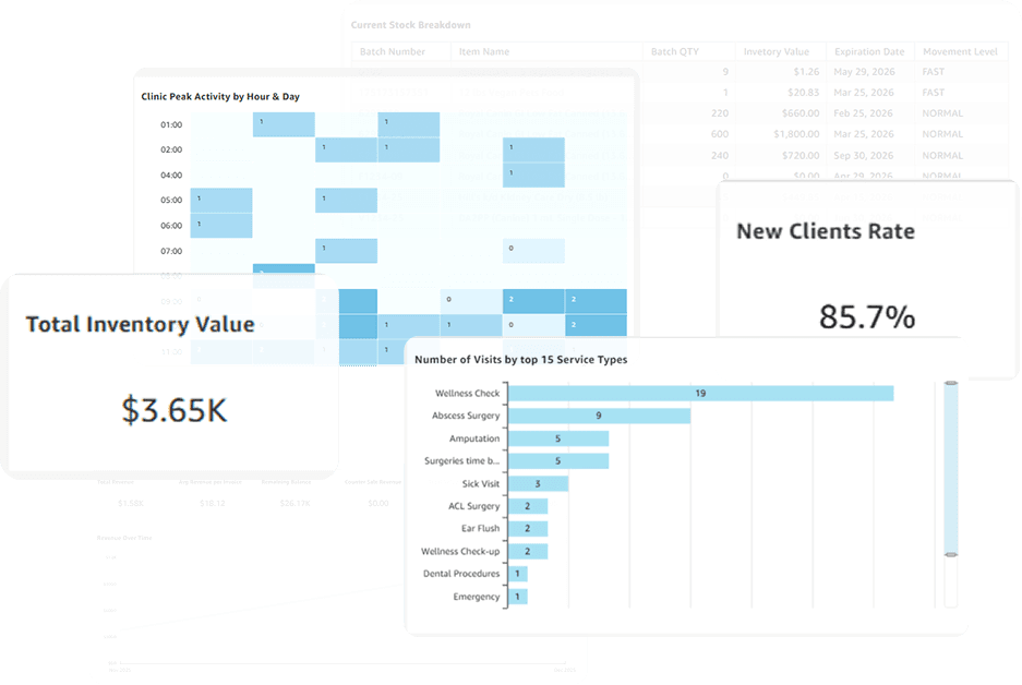 Business Intelligence