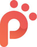 Bittsi payment