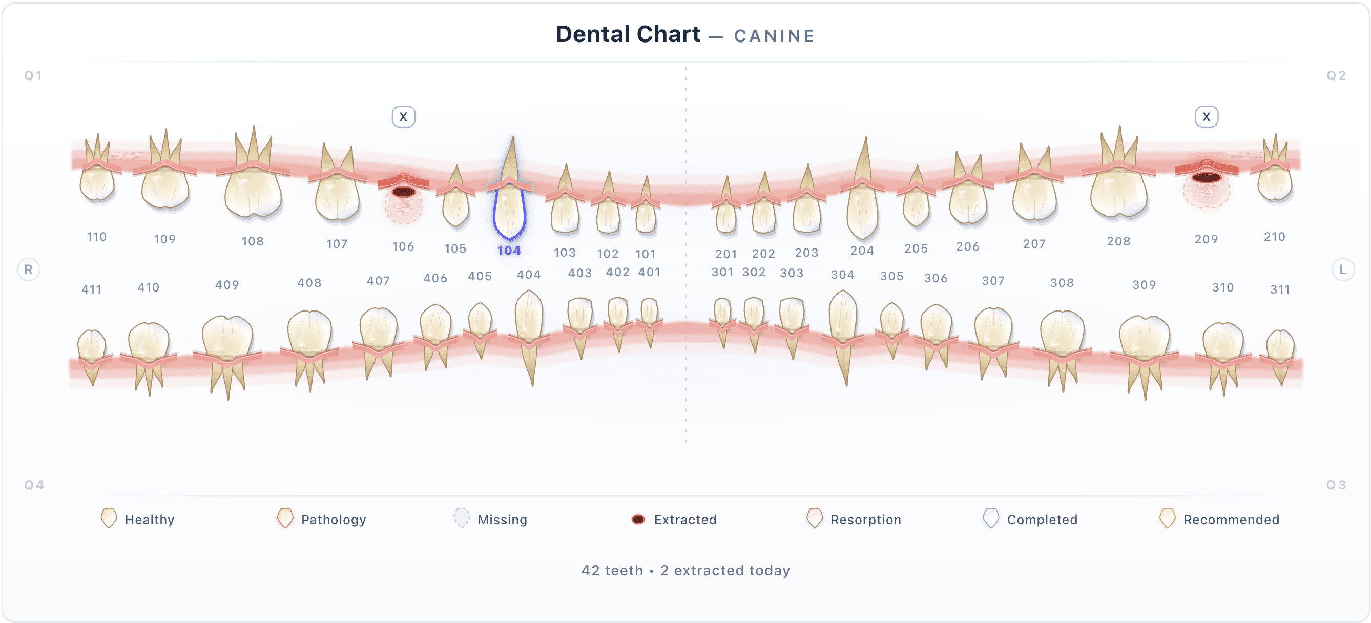 Bittsi dental chart for a dog: 42 teeth in Triadan numbering with two extracted teeth marked, tooth 104 selected, and the legend for healthy, pathology, missing, extracted, resorption, completed and recommended